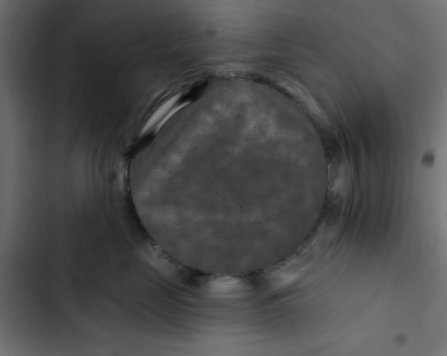 X0000103320669200809261137