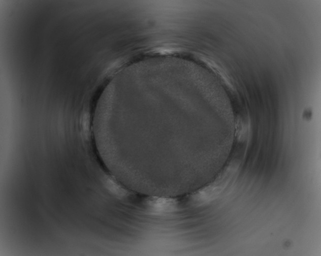 X0000103320670200809261137