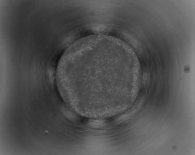 X0000103320671200809261137