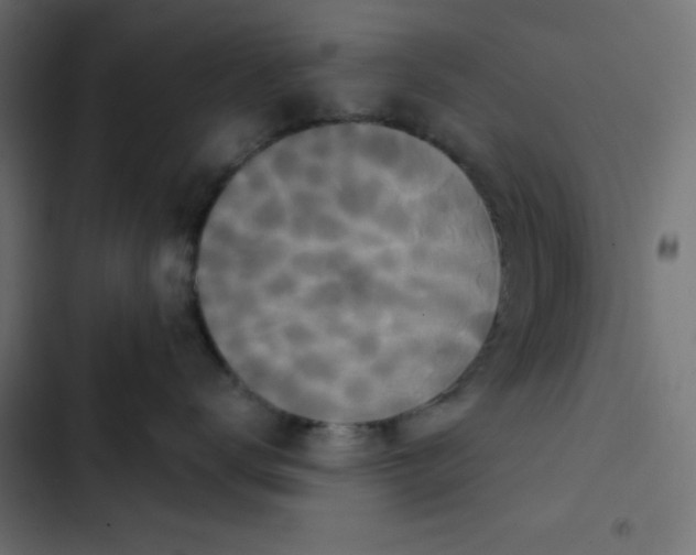 X0000103320672200809261137