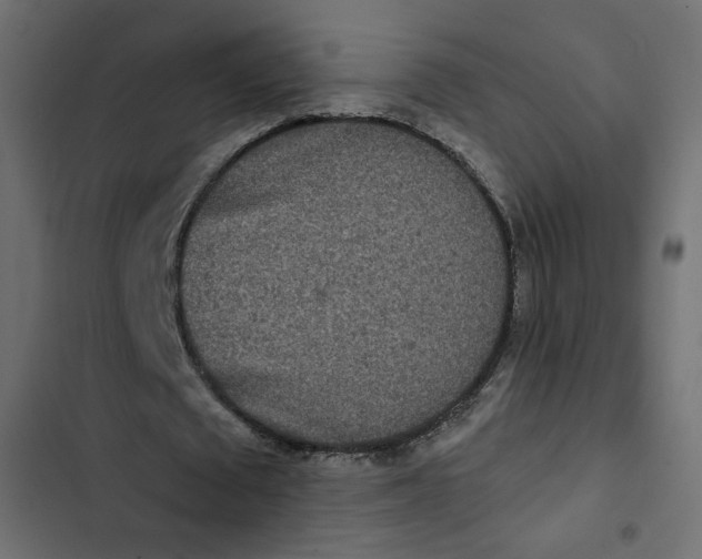 X0000103320673200809261137