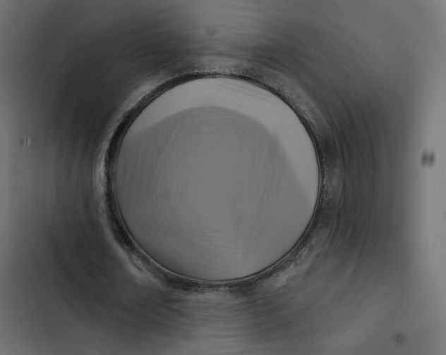 X0000103320674200809261137