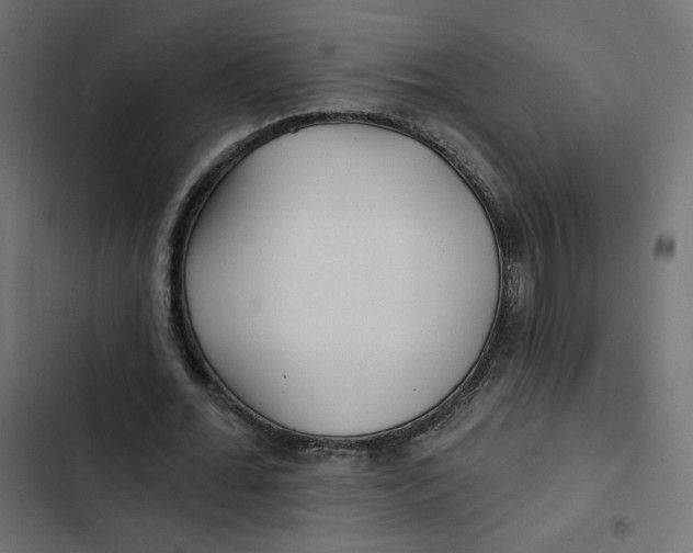 X0000103320676200809261137