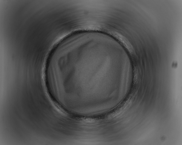 X0000103320677200809261137