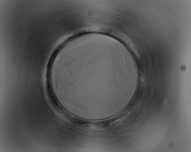 X0000103320678200809261137