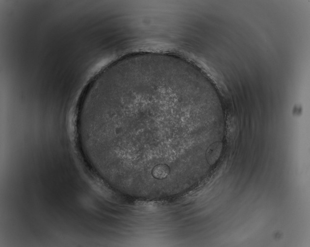 X0000103320679200809261137