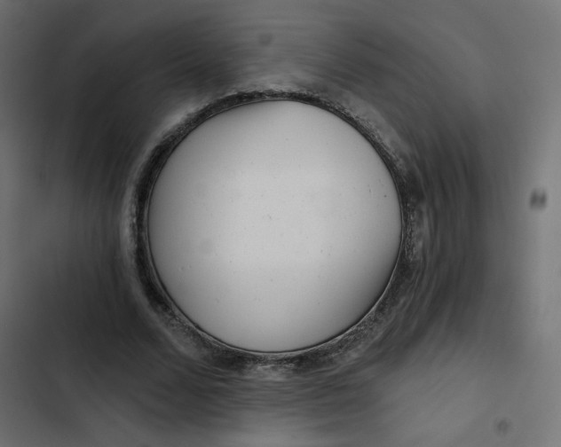 X0000103320680200809261136