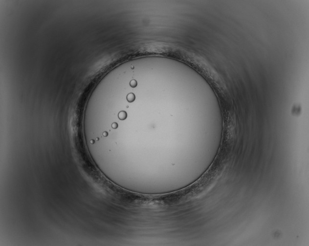 X0000103320683200809261136