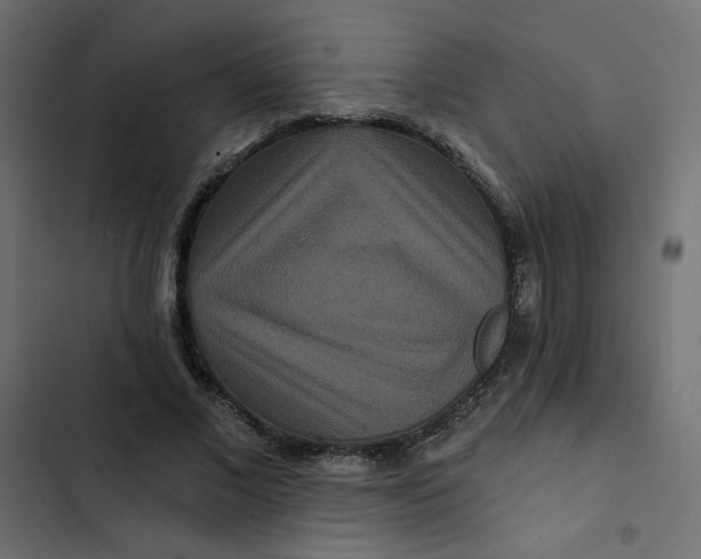 X0000103320685200809261136