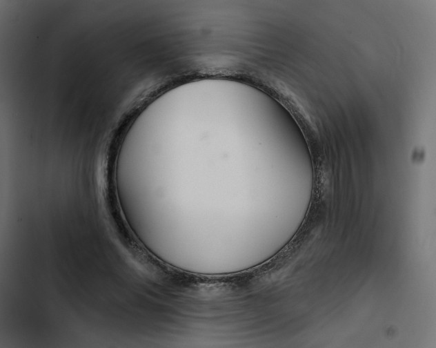 X0000103320686200809261136