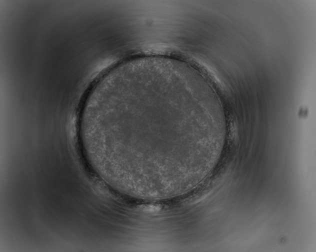 X0000103320687200809261136