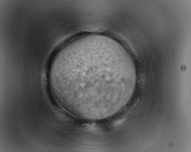 X0000103320688200809261136