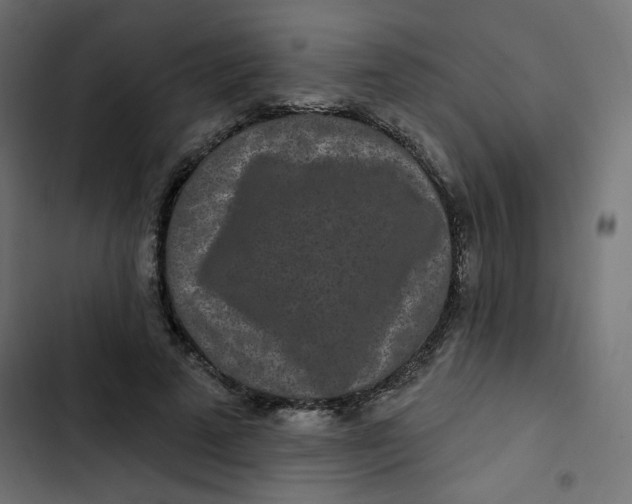 X0000103320689200809261136