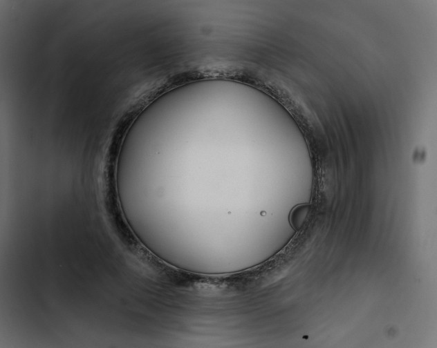 X0000103320690200809261136