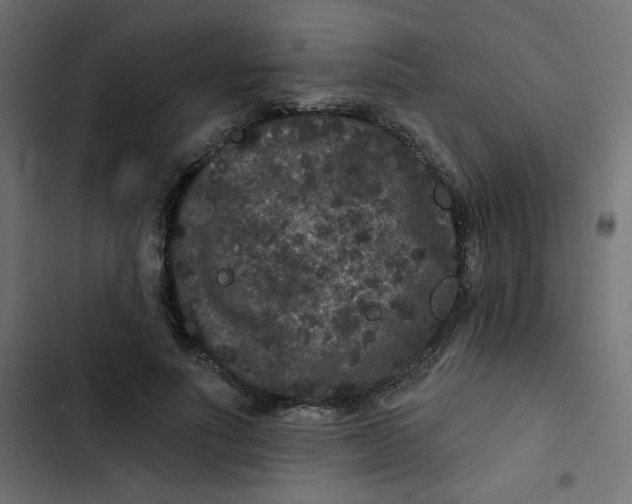 X0000103320691200809261136