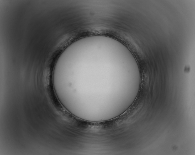 X0000103320694200809261136