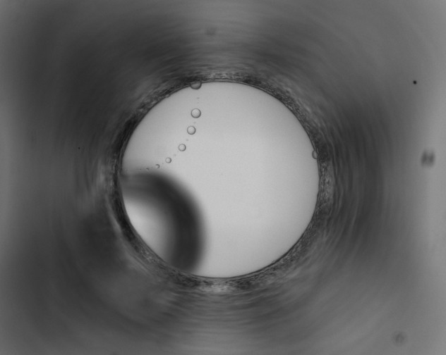 X0000103320695200809261136