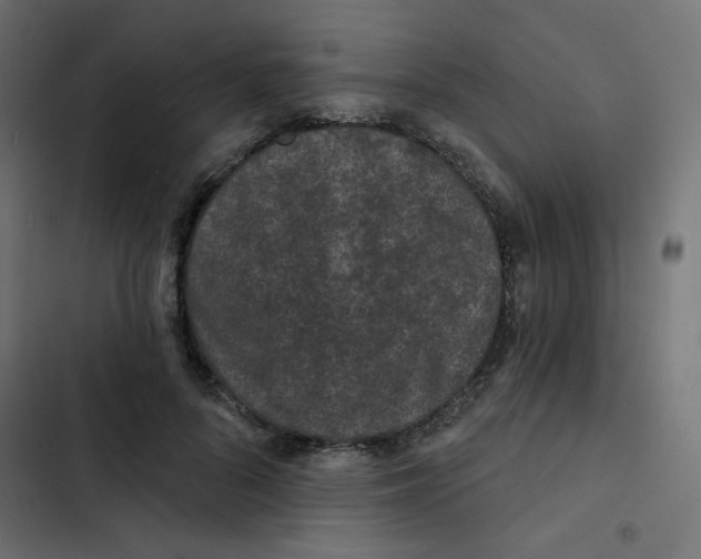 X0000103320696200809261136