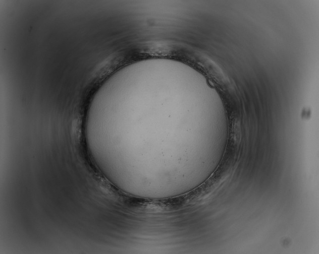 X0000103320697200809261136