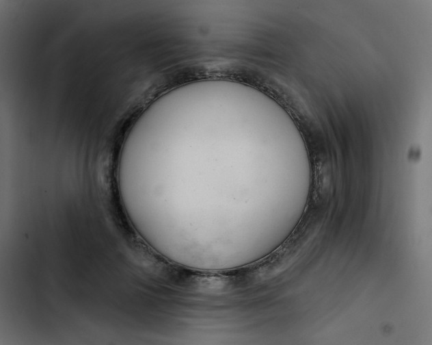 X0000103320698200809261136