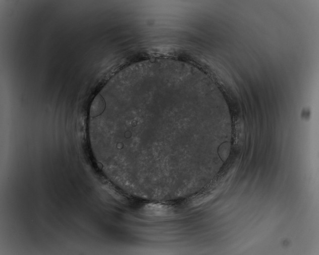 X0000103320699200809261136