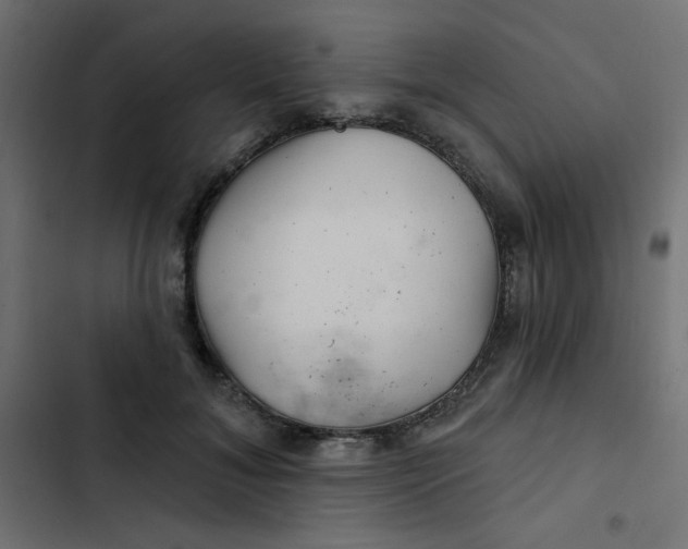 X0000103320700200809261136