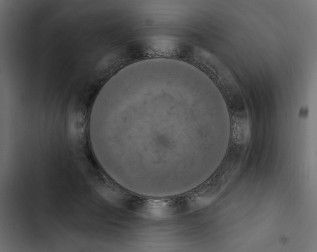 X0000103320701200809261136