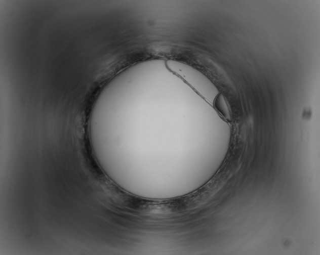 X0000103320702200809261136