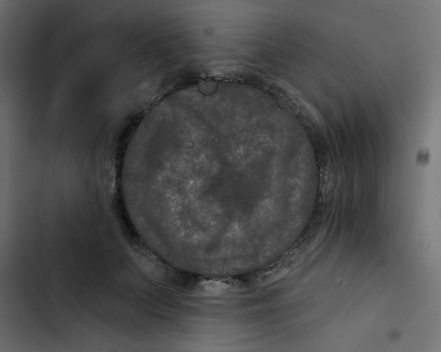 X0000103320703200809261136