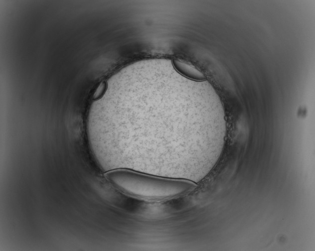 X0000103320704200809261136