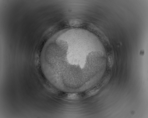 X0000103320705200809261136