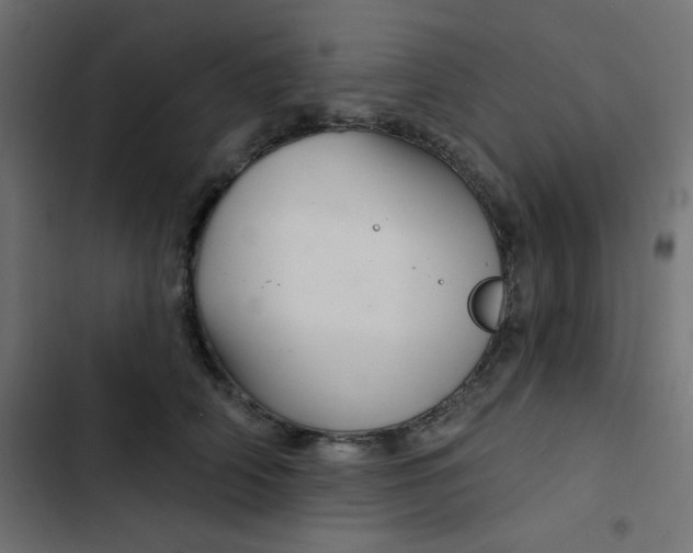 X0000103320706200809261136