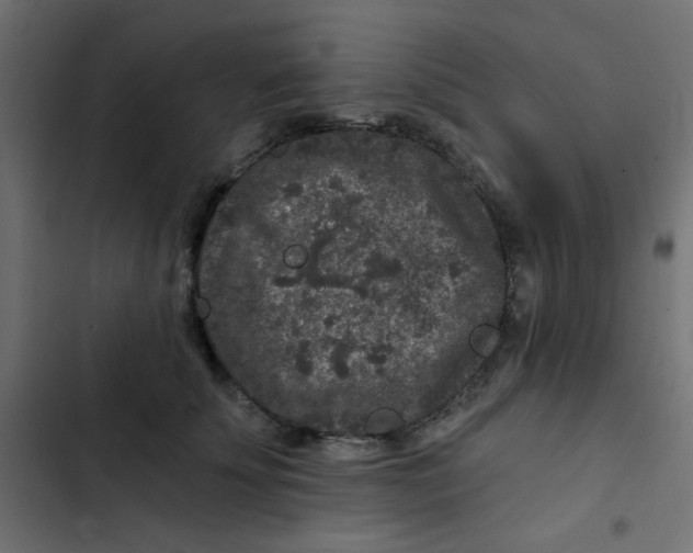 X0000103320707200809261136