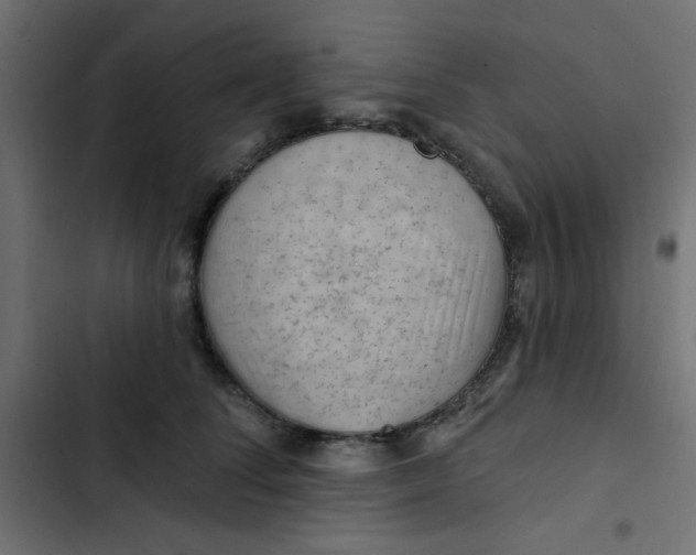 X0000103320708200809261136