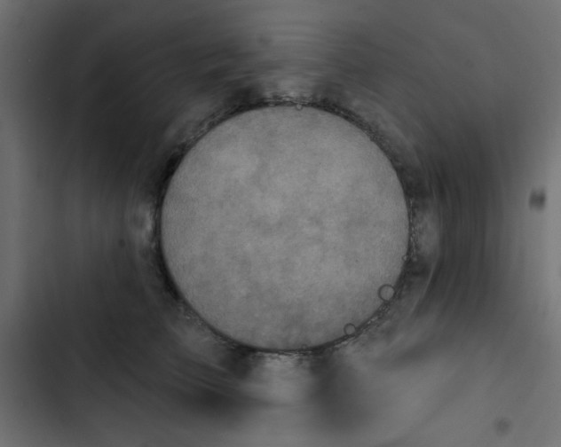 X0000103320709200809261136