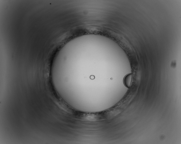 X0000103320710200809261136