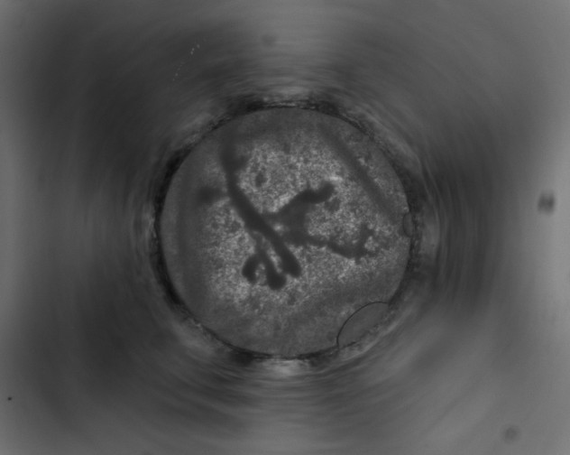 X0000103320711200809261136