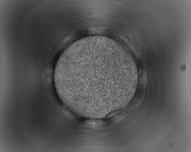 X0000103320712200809261136