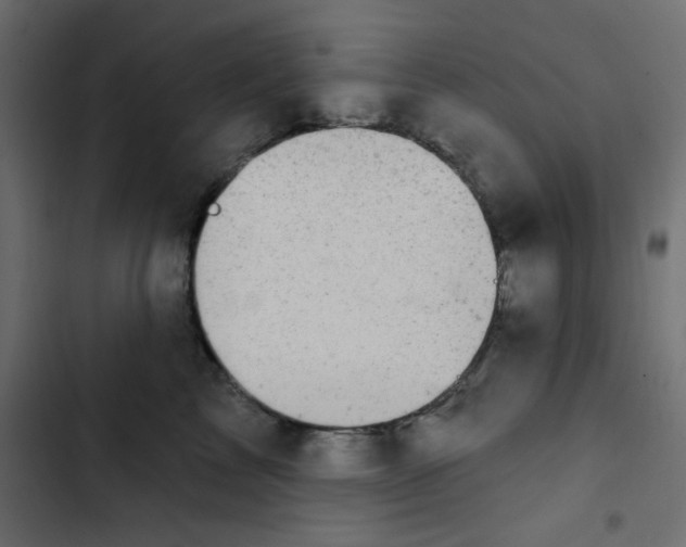 X0000103320713200809261136