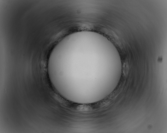 X0000103320714200809261136