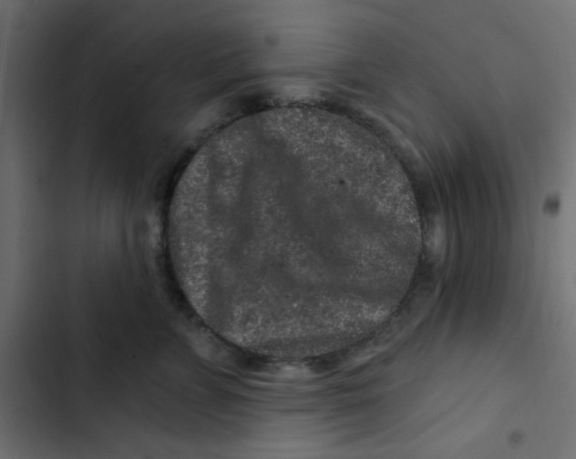 X0000103320715200809261136