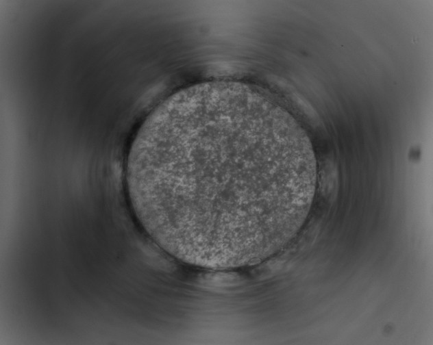 X0000103320716200809261136