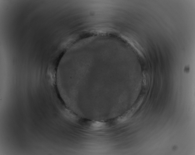 X0000103320718200809261136