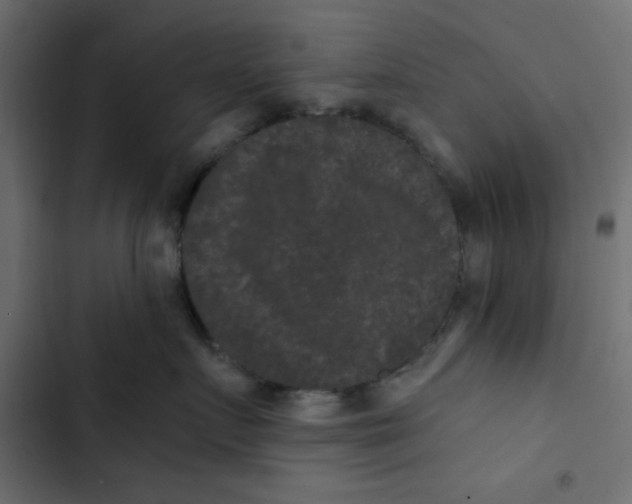 X0000103320719200809261136