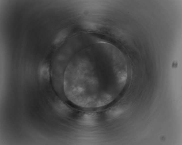 X0000103320720200809261136