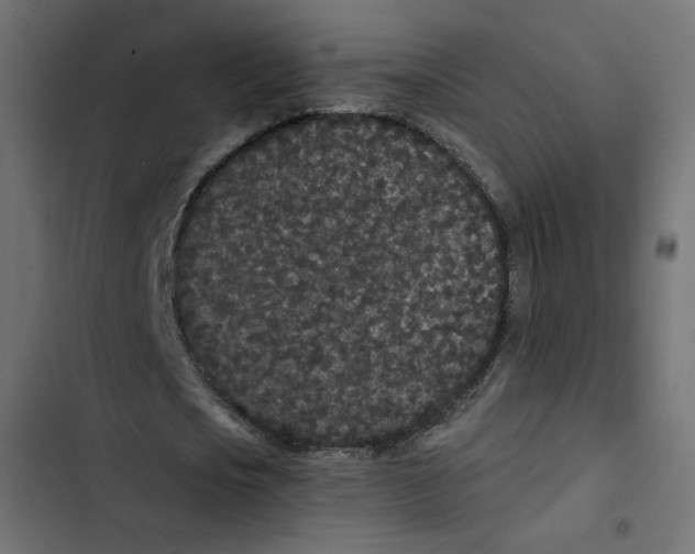 X0000103320721200809261135