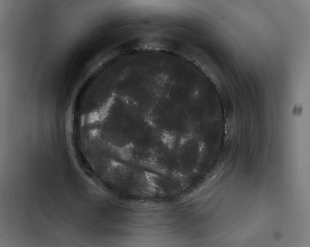 X0000103320722200809261135