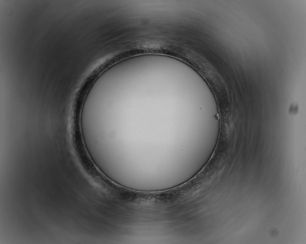 X0000103320728200809261135