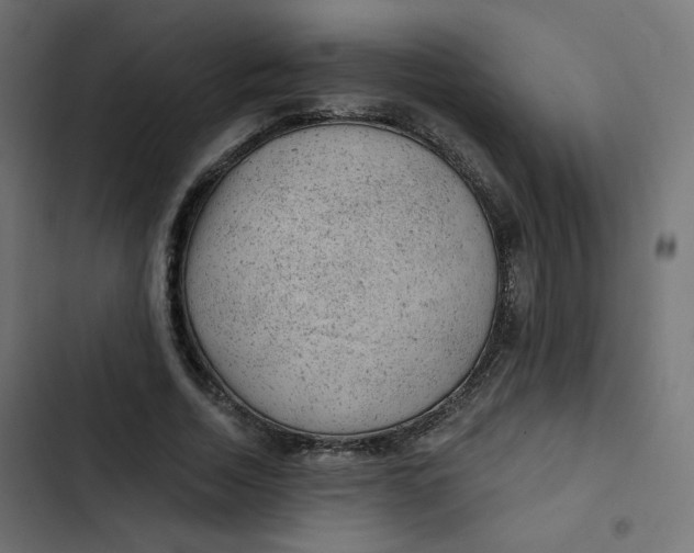 X0000103320730200809261135