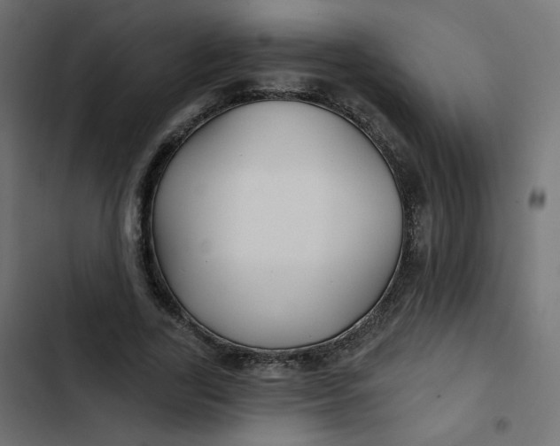 X0000103320731200809261135